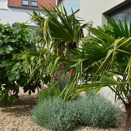 Palm Garden Apartment 2 Mikulov Exterior photo