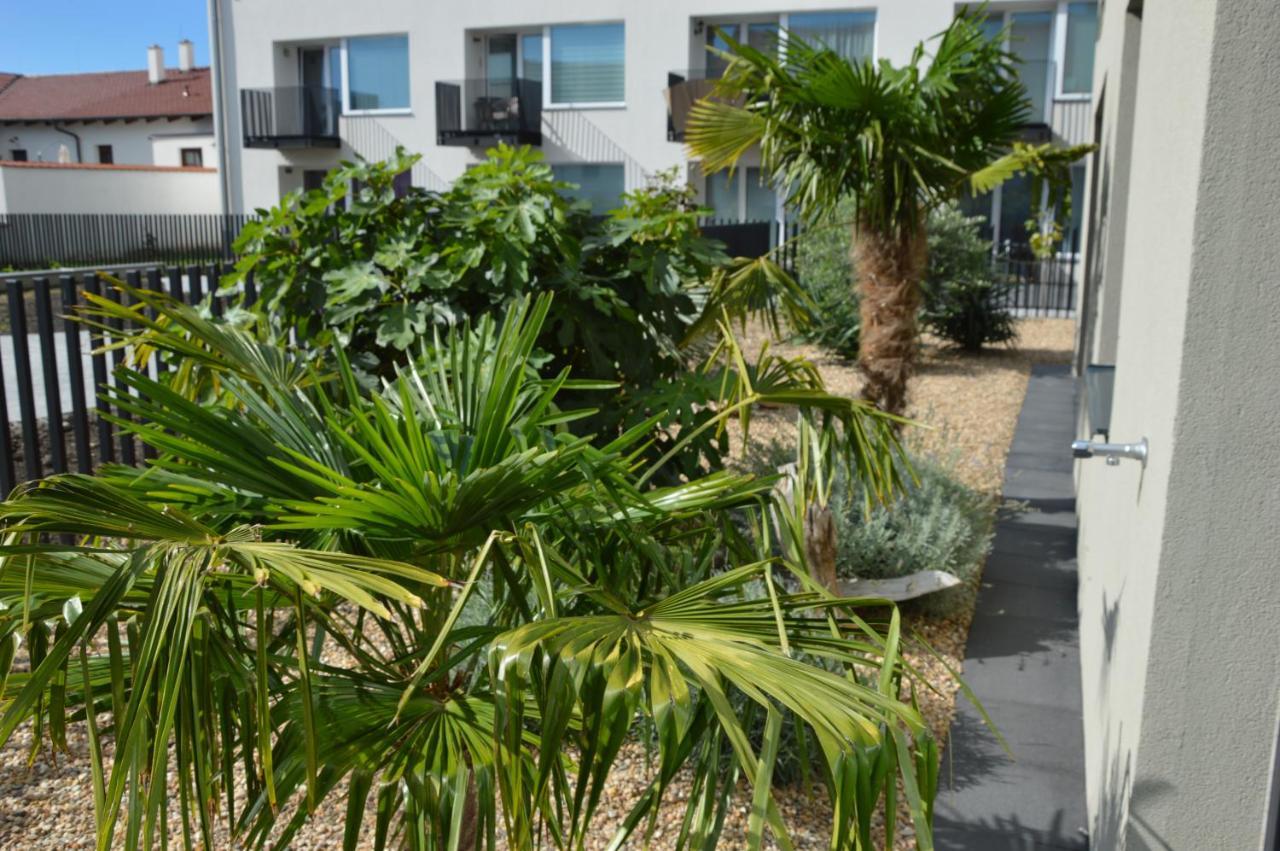Apartment Palm Garden 2 *