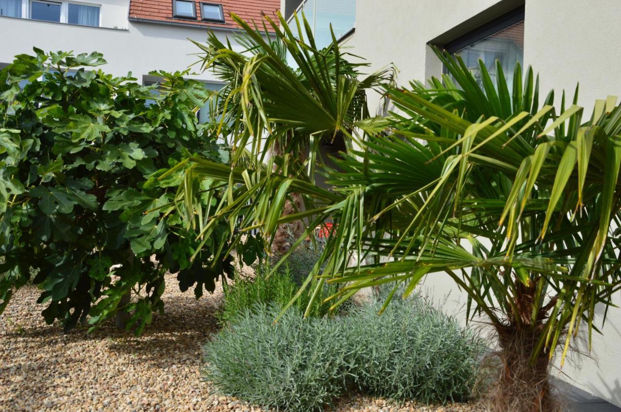 Palm Garden 2 Apartment