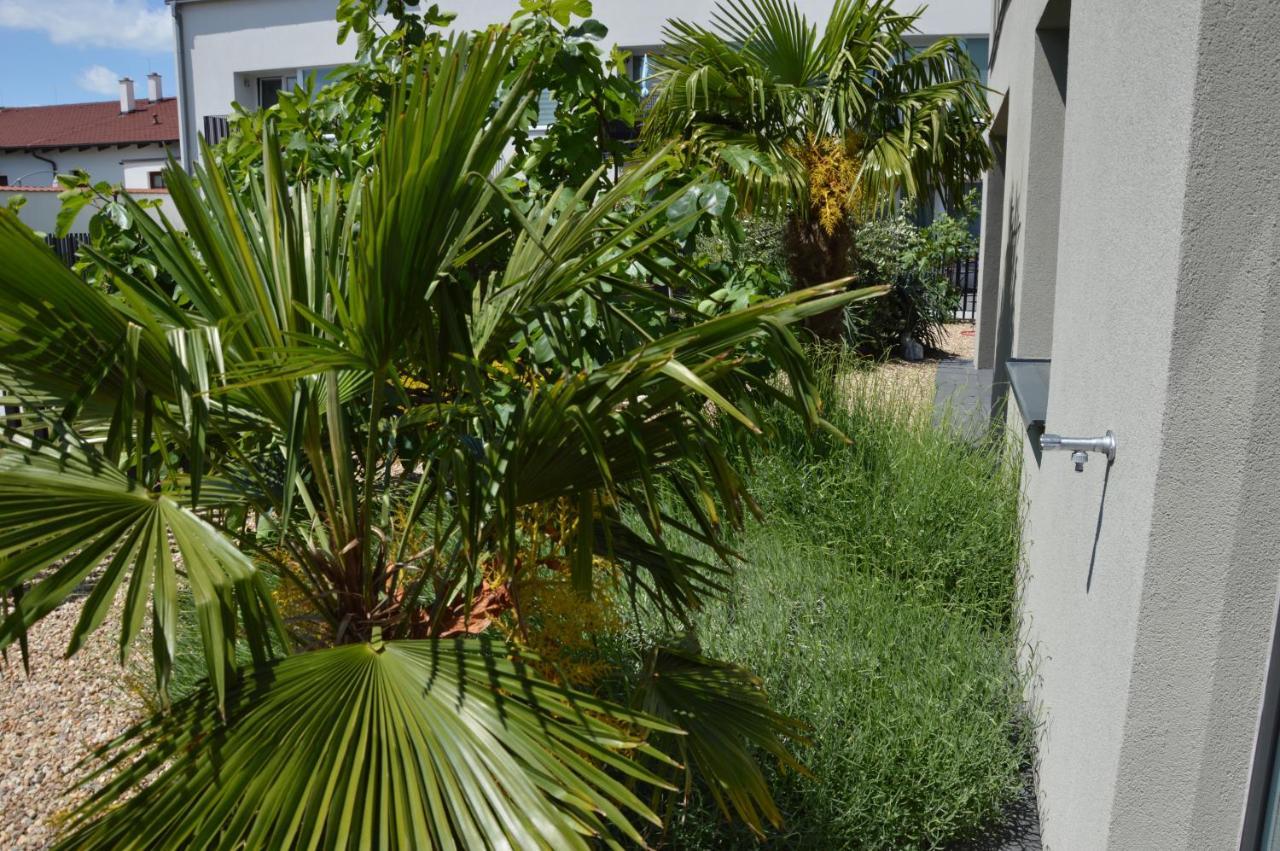 Palm Garden 2 Apartment Mikulov