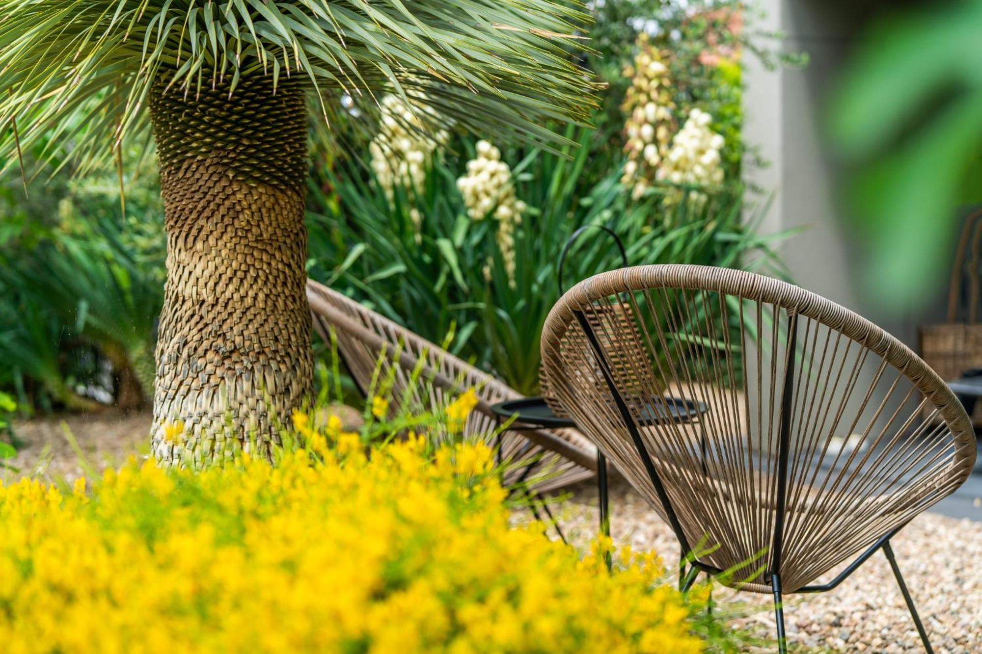 Palm Garden 2